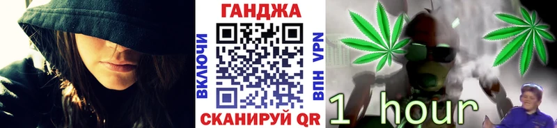 Бошки марихуана конопля  продажа наркотиков  Александровск-Сахалинский 